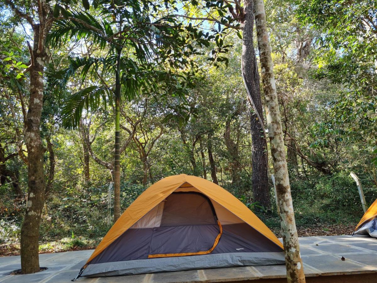 Captain'S Camp Sirsi Exterior photo